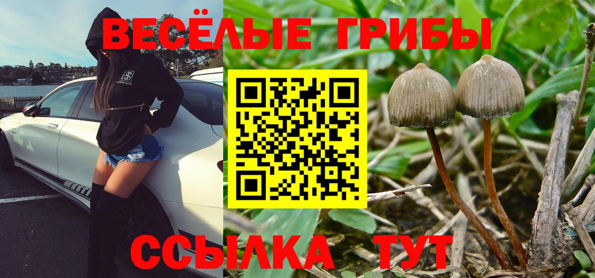 Галлюциногенные грибы ЛСД Химки