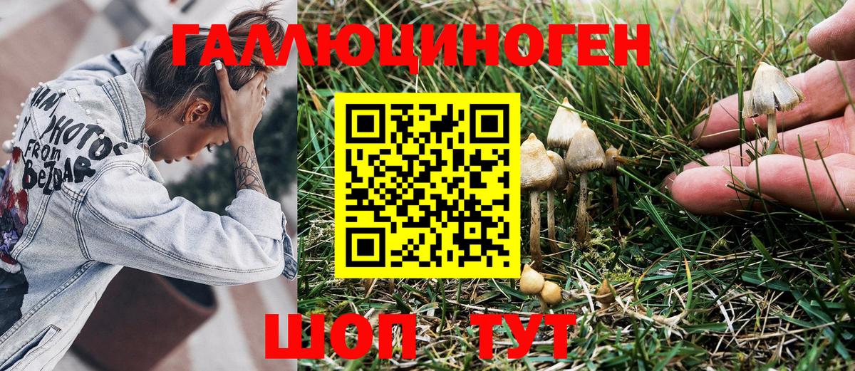Галлюциногенные грибы Cubensis  Псилоцибиновые грибы Magic Shrooms  Вход с VPN  Химки 